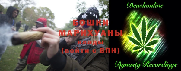 гашик Нефтекумск