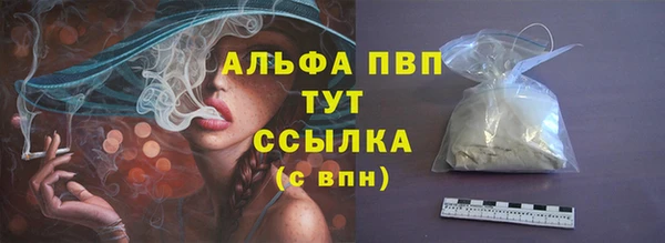 гашик Нефтекумск