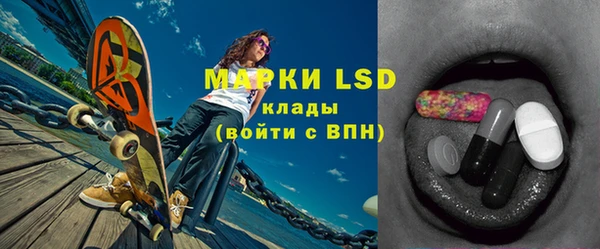 гашик Нефтекумск