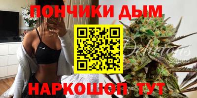 гидра Гатчина