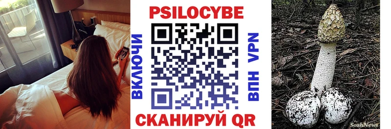 Псилоцибиновые грибы Cubensis  наркота  Карталы 