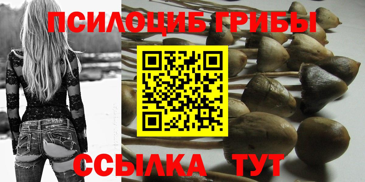 Псилоцибиновые грибы мицелий  Вход с VPN  Псилоцибиновые грибы мицелий  Карталы 